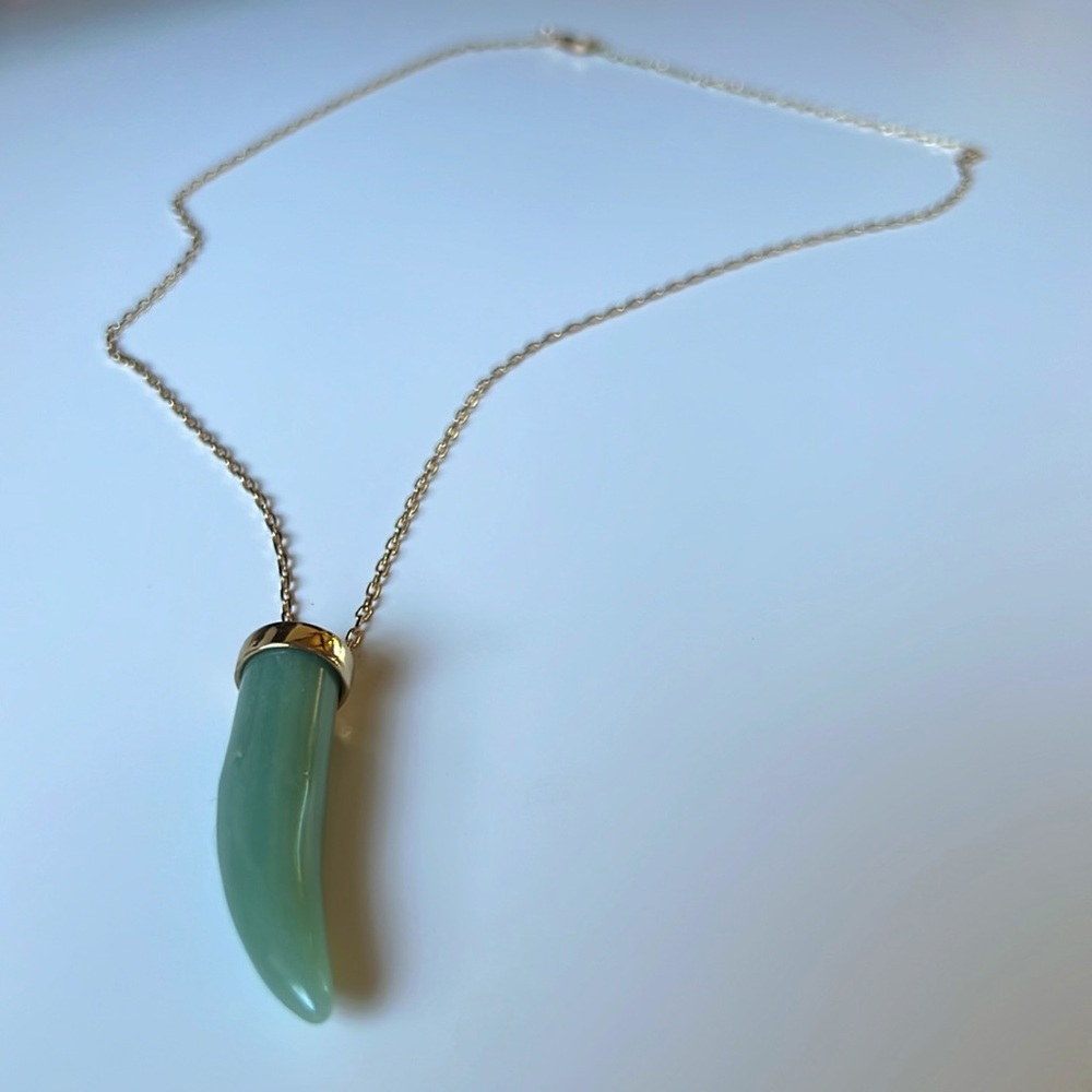 Horn Pendant Necklace - NWOT